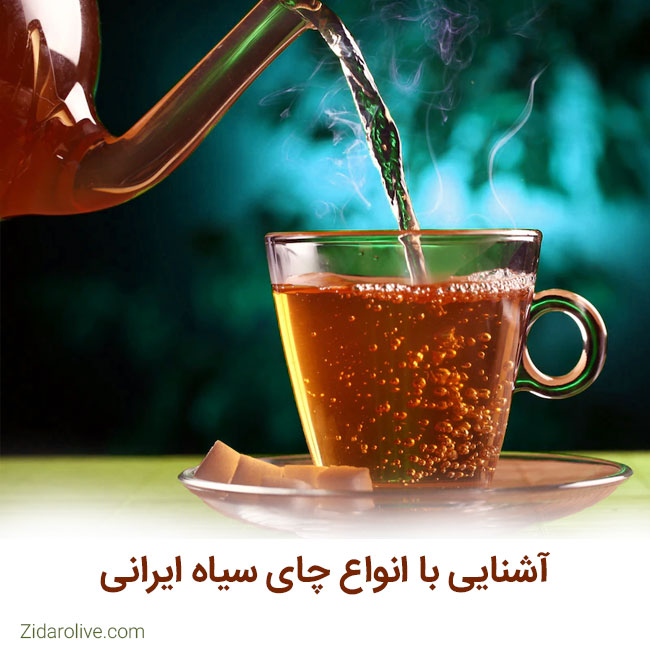 آشنایی با انواع چای سیاه ایرانی