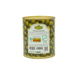 پشت زیتون شور بدون هسته سه کیلویی